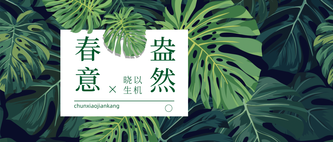 微信图片_20250324165901