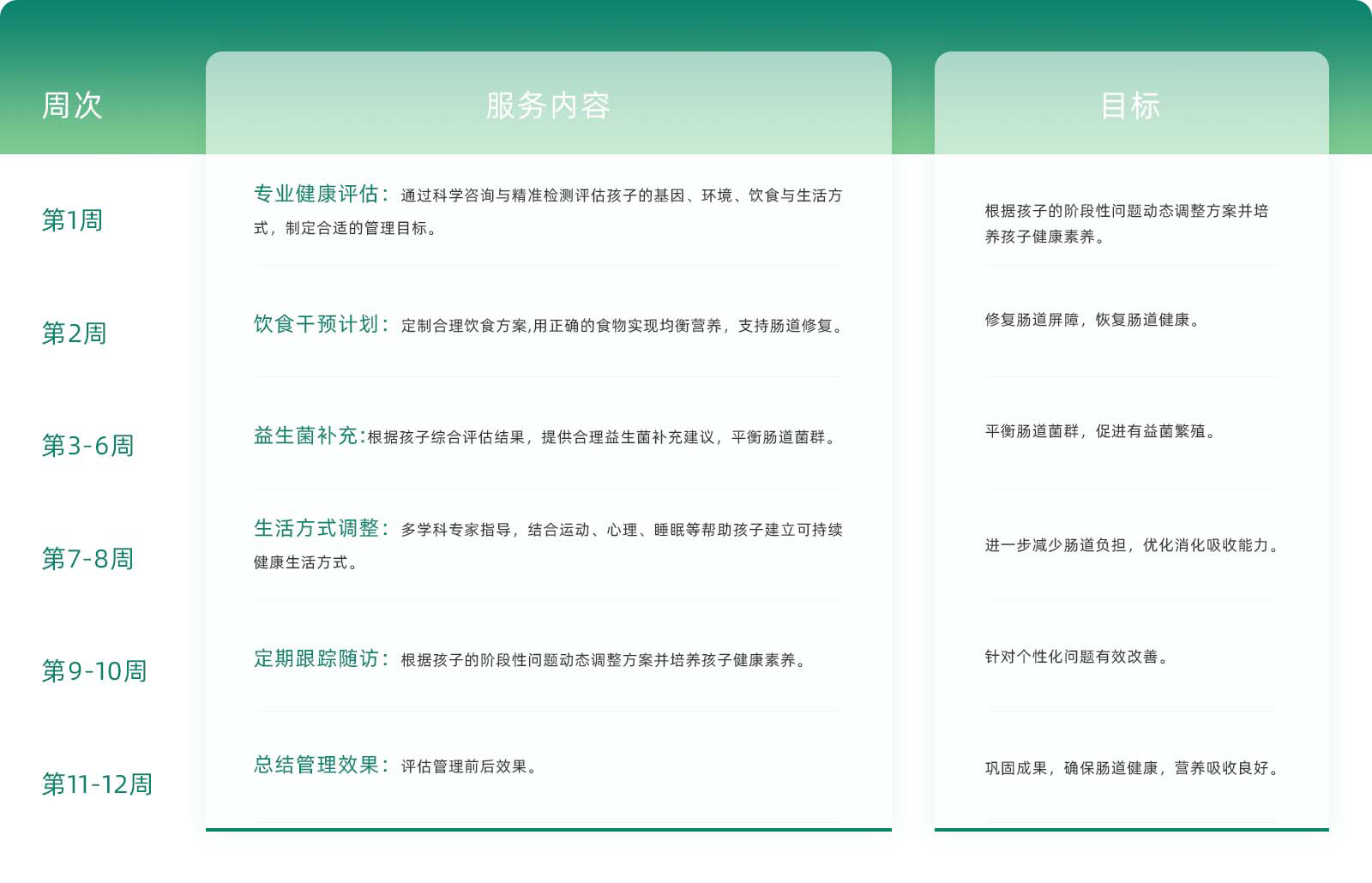 肠道.png