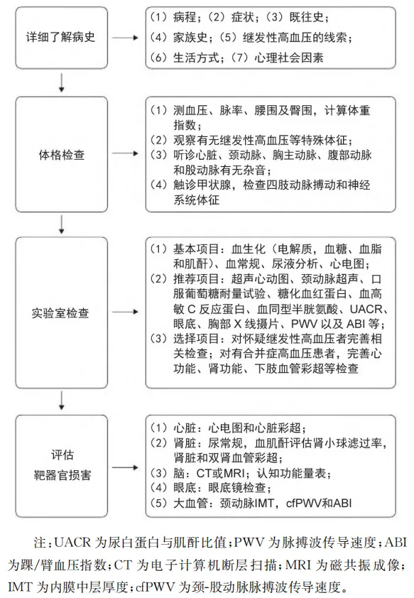 51422.webp
